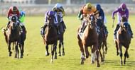 Jockey John Velazquez on Wise Dan (2R) rides for victory at the Breeders' Cup Mile
